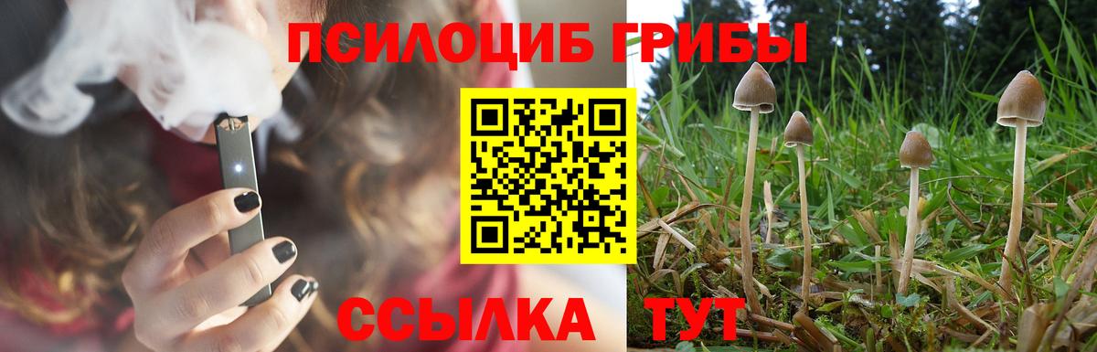 Карпинск  Псилоцибиновые грибы GOLDEN TEACHER  Вход с VPN 