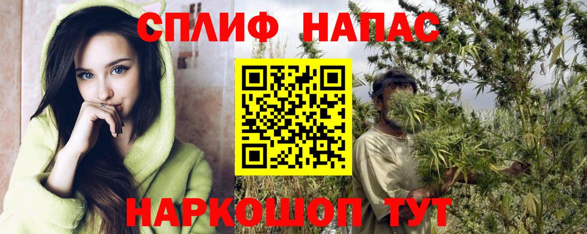 Карпинск  Конопля сатива  Марихуана план  Вход с VPN 